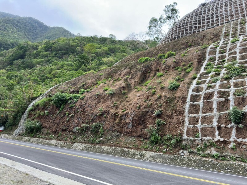 崩塌地之植生復育-邊坡已陸續長出小苗_0_2d3e0.jpg