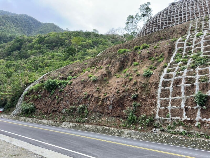 崩塌地之植生復育-邊坡已陸續長出小苗_0_35b9f.jpg