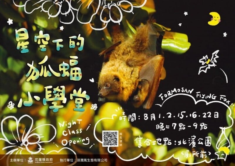 狐蝠02_1611d.jpeg