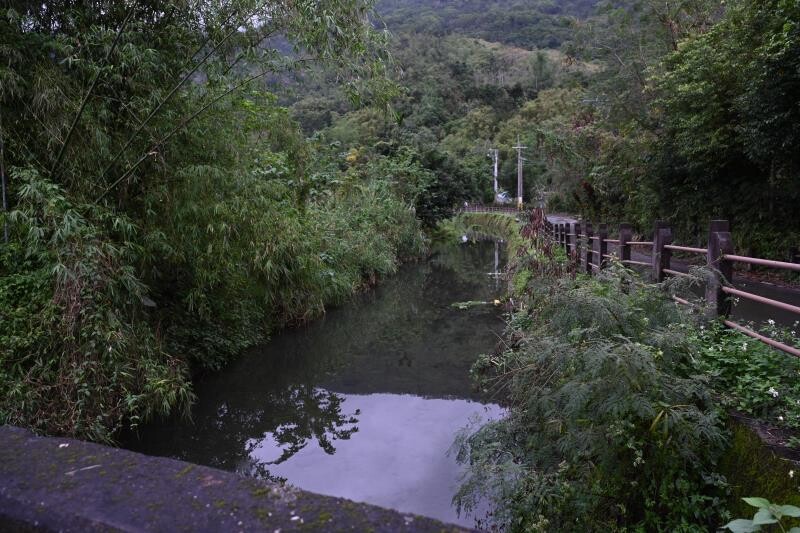AA-0105081951257_77396.jpg