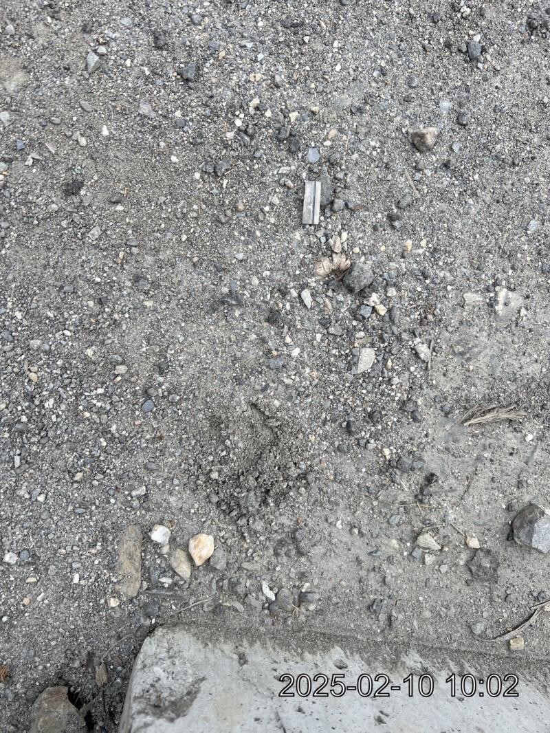 AA-0214085636602_88518.jpg