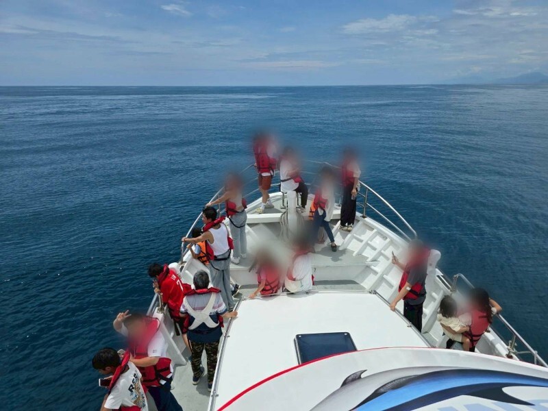 AA-0811102017676_63e64.jpg