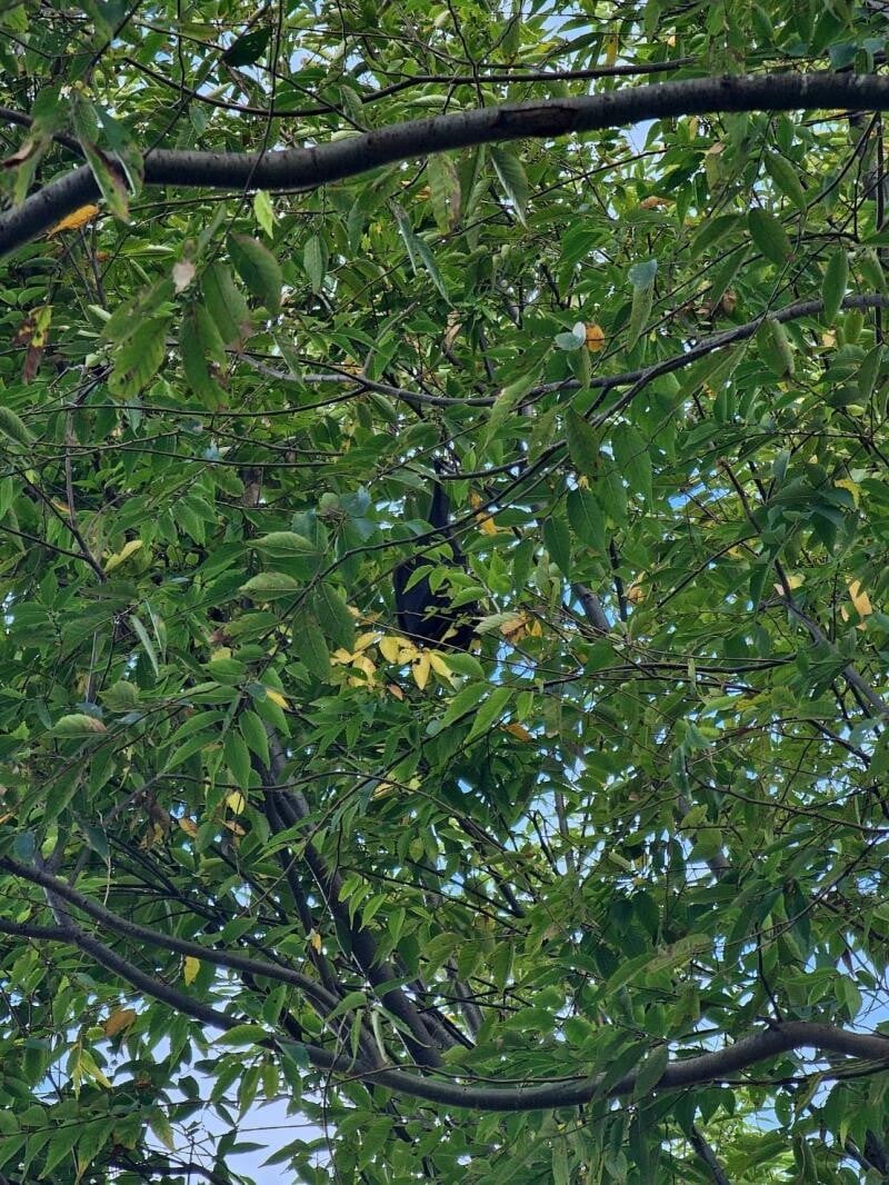 AA-1114141423660_ebe19.jpg