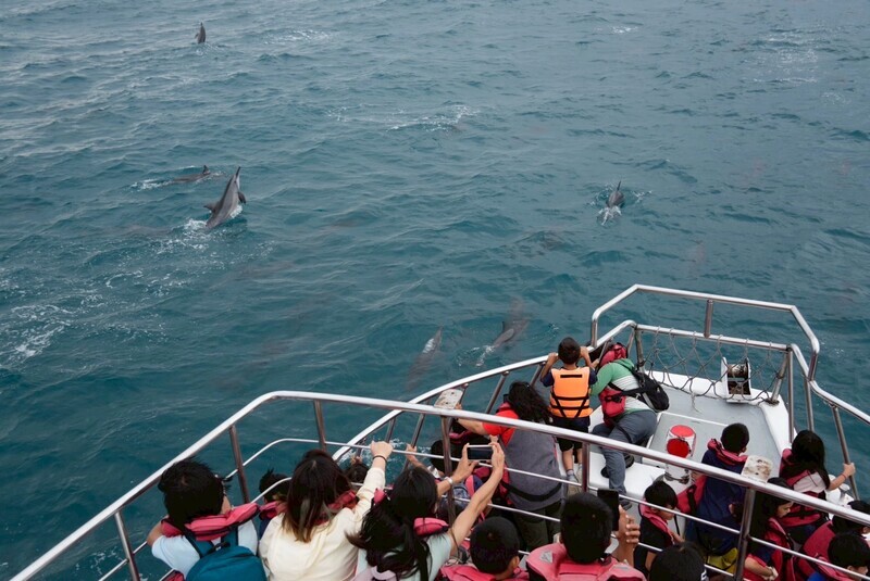 LINE_ALBUM_2025510_公益船班_250510_5_0_60e44.jpg